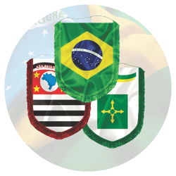 Almeida-Bandeiras-oficiais-bandeiras-personalizadas-bandeiras-de-países-acessórios-para-bandeiras-flâmulas-de-estados-e-capitais