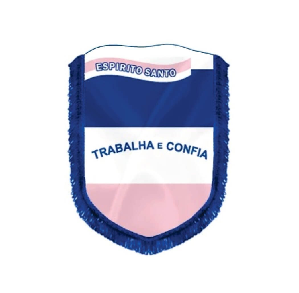 Almeida-Bandeiras-oficiais-e-personalizadas-acessórios-para-bandeiras-flâmulas-de-capitais-flâmula-do-Espírito-Santo