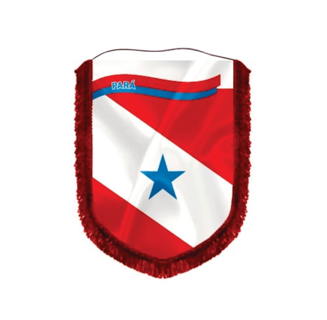 Almeida-Bandeiras-oficiais-e-personalizadas-acessórios-para-bandeiras-flâmulas-de-capitais-flâmula-do-Pará