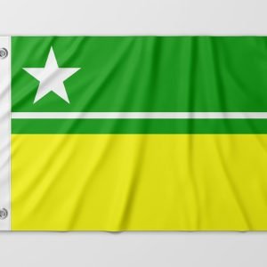 Almeida-Bandeiras-oficiais-e-personalizadas-Bandeiras-de-capitais-do-brasil-bandeira-de-Boa-Vista (24)