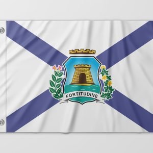 Almeida-Bandeiras-oficiais-e-personalizadas-Bandeiras-de-capitais-do-brasil-bandeira-de-Fortaleza (8)