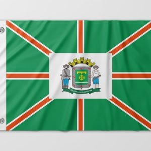 Almeida-Bandeiras-oficiais-e-personalizadas-Bandeiras-de-capitais-do-brasil-bandeira-de-Goiania (9)
