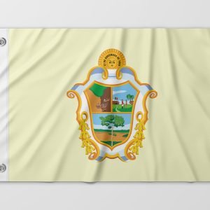 Almeida-Bandeiras-oficiais-e-personalizadas-Bandeiras-de-capitais-do-brasil-bandeira-de-Manaus (13)