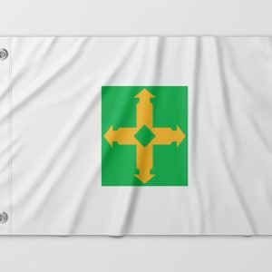 Almeida-Bandeiras-oficiais-e-personalizadas-Bandeiras-de-capitais-do-brasil-bandeira-do-Distrito-Federal- (6)