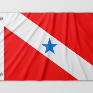Almeida-Bandeiras-oficiais-e-personalizadas-Bandeiras-de-estados-do-brasil-bandeira-do-Para