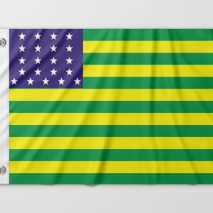 Almeida-Bandeiras-oficiais-e-personalizadas-Bandeiras-historicas-do-brasil-Bandeira-Provisória-da-Republica