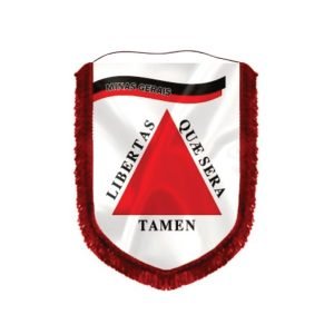 Almeida-Bandeiras-oficiais-e-personalizadas-acessórios-para-bandeiras-flâmulas-de-capitais-flâmula-de-Minas-Gerais