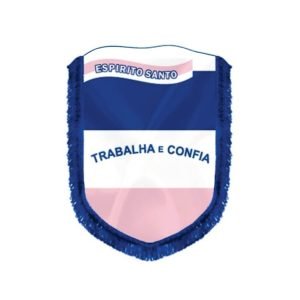 Almeida-Bandeiras-oficiais-e-personalizadas-acessórios-para-bandeiras-flâmulas-de-capitais-flâmula-do-Espírito-Santo