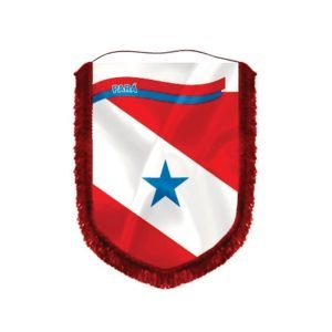 Almeida-Bandeiras-oficiais-e-personalizadas-acessórios-para-bandeiras-flâmulas-de-capitais-flâmula-do-Pará