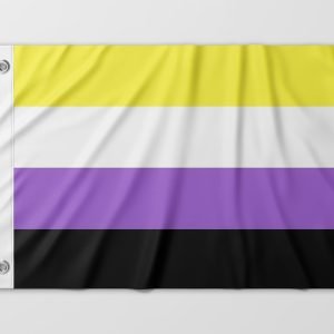 Almeida-bandeiras-oficiais-bandeiras-personalizadas-bandeira-da-diversidade-bandeira-lgbtqiapn+-bandeira-Binaria