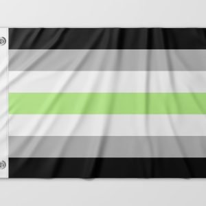 Almeida-bandeiras-oficiais-bandeiras-personalizadas-bandeira-da-diversidade-bandeira-lgbtqiapn+-bandeira-agenero