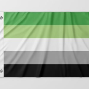 Almeida-bandeiras-oficiais-bandeiras-personalizadas-bandeira-da-diversidade-bandeira-lgbtqiapn+-bandeira-arromanticidade