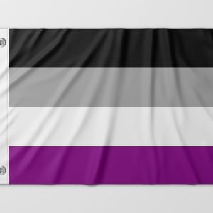 Almeida-bandeiras-oficiais-bandeiras-personalizadas-bandeira-da-diversidade-bandeira-lgbtqiapn+-bandeira-assexual
