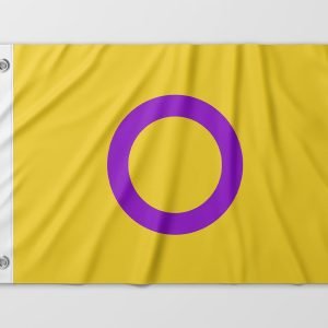 Almeida-bandeiras-oficiais-bandeiras-personalizadas-bandeira-da-diversidade-bandeira-lgbtqiapn+-bandeira-internsexo
