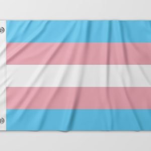 Almeida-bandeiras-oficiais-bandeiras-personalizadas-bandeira-da-diversidade-bandeira-lgbtqiapn+-bandeira-transexual